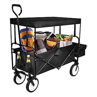 Folding Wagon with Removable Canopy $50