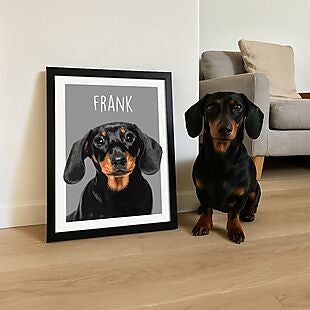 50% Off + 20% Off Pet Portraits