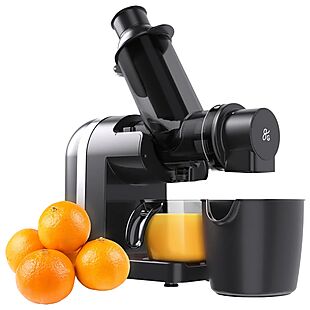 Cold Press Juicer $30