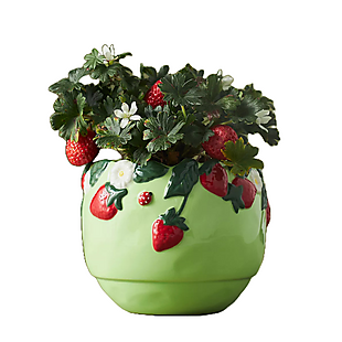 Foster Icon Stoneware Pot $15