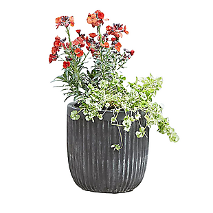 Extra 40% Off Vases & Planters