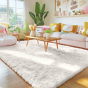 4' x 6' Shag Rug $21 with Prime