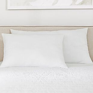 2pk Hypoallergenic Plush Pillows $30
