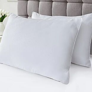 2pc Stearns & Foster Plush Pillow Set $15