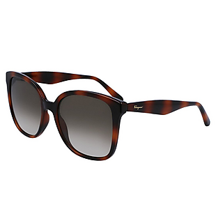Ferragamo Sunglasses $45
