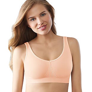 2 Name-Brand Bras or Bralettes from $19