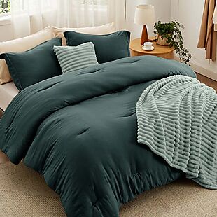 5pc All-Season Queen Comforter Set $46