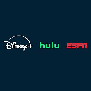 Disney+, ESPN & Hulu $30 per Month