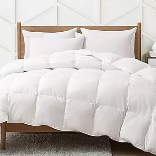75% Off Down & Feather Fiber Comforters