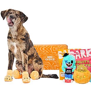 Dog Box & Crocs from $24 for Subscribers