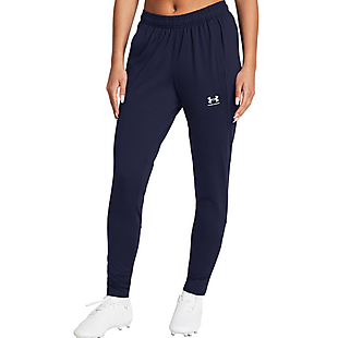 UA Challenger Training Pants $25