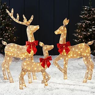 3pc Lighted Reindeer Decor $67