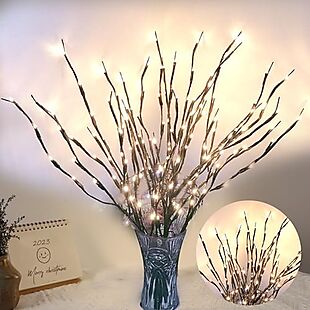 2pk Lighted Branches $10