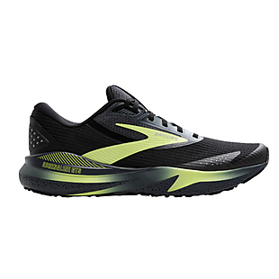 Brooks Adrenaline GTS 24 Shoes $100