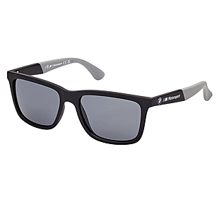 BMW Polarized Sunglasses $24