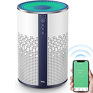 Smart Air Purifier $42