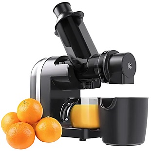 Cold Press Juicer $30