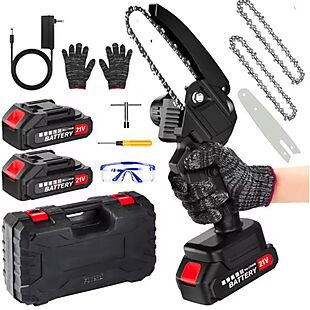 Cordless Mini Chainsaw Set $25
