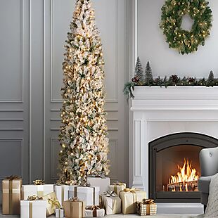 80% Off Christmas Trees at Macy's