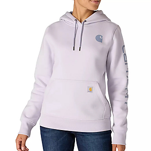 Carhartt Iconic Clarksburg Hoodie $30