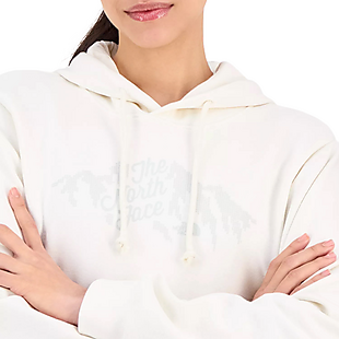 The North Face Sparkle Hoodie $40