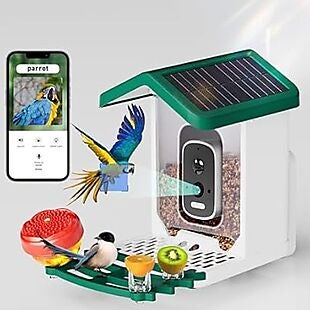 Smart Bird Feeder with Camera $42