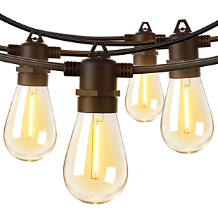 50' LED Edison String Lights $20