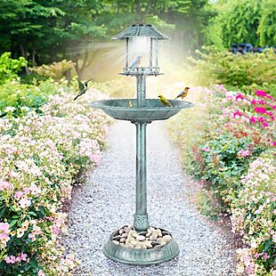 Solar Birdbath with Planter Pedestal $36