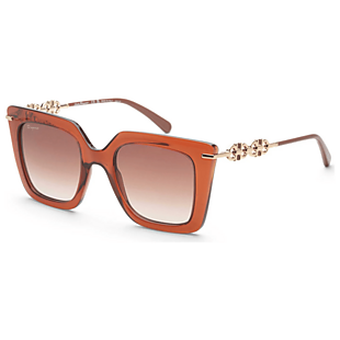 Up to 60% Off Ferragamo Sunglasses