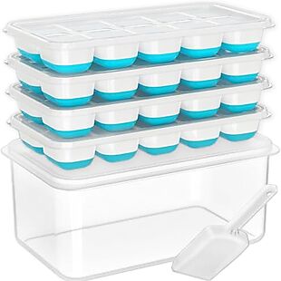 Ice Cube Tray & Storage Bin Set $13