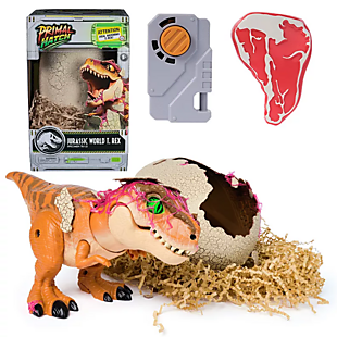 Interactive Toy Dinosaur & Egg Set $30