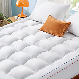 Extra-Thick Queen Mattress Pad $45