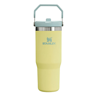 Stanley IceFlow 30oz Tumbler $25