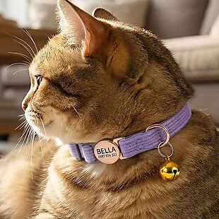 Personalized Safety Buckle Cat Collar $5