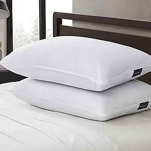 2pk Eddie Bauer Jumbo Pillows $15