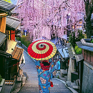 7-Night Japan Trip from $1,599