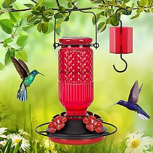 Glass Hummingbird Feeder $16