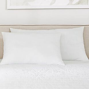 2pk Hypoallergenic Plush Pillows $31