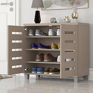 Shoe Storage Solutions under $100