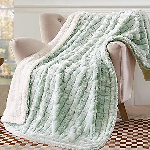 Reversible Micromink Throw $15