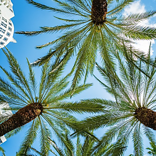 Miami Kimpton Stay from $99
