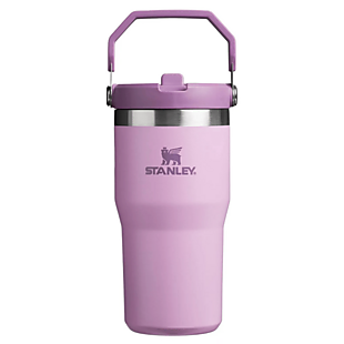 Stanley 20oz IceFlow Tumbler $20