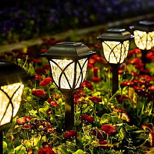 6pk LED Solar Path Lights $25