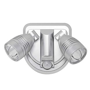 Motion-Activated Dual Security Light $13