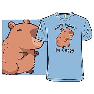 Woot Tees $6