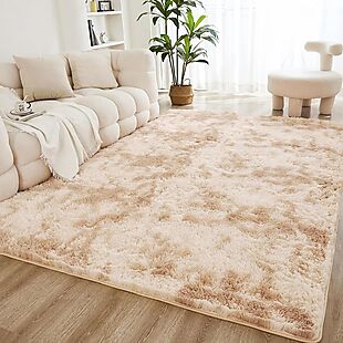 8' x 10' Shag Area Rug $54 + Free Ship