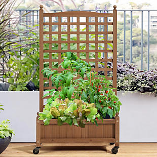 Wayfair: Up to 60% Warehouse Clearance