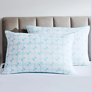 2 Nautica Pillows for $15 at Macy's