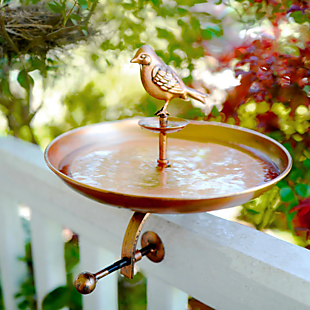 Bird & Butterfly Bath $24