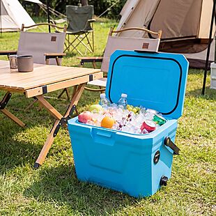 Cooler $59